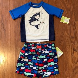 12M Shark/Fish Swim Set